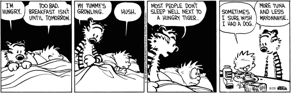 calvinandhobbes