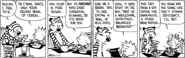 calvinandhobbes