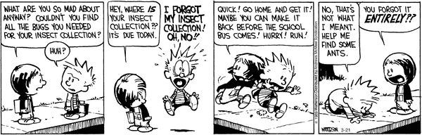 calvinandhobbes