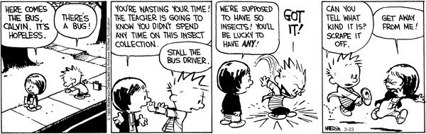 calvinandhobbes