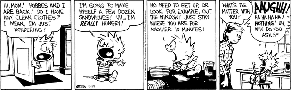 calvinandhobbes