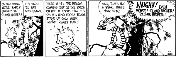 calvinandhobbes