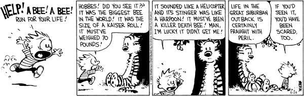 calvinandhobbes