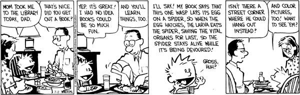 calvinandhobbes