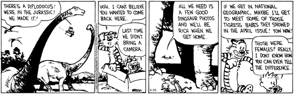 calvinandhobbes