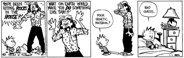 calvinandhobbes