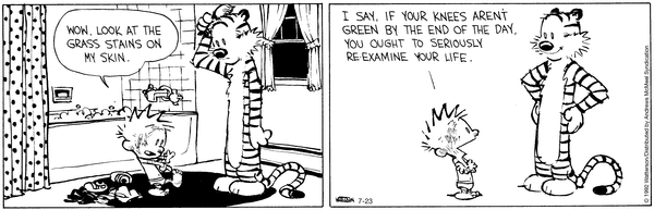 calvinandhobbes