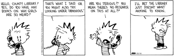 calvinandhobbes