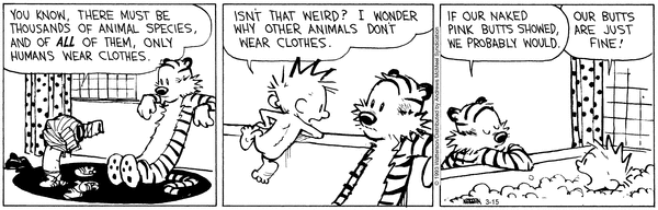 calvinandhobbes