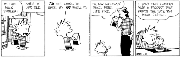 calvinandhobbes