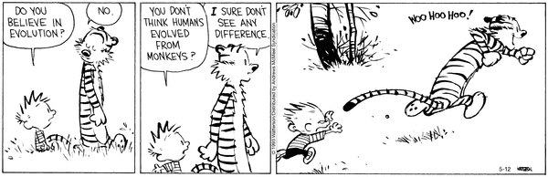 calvinandhobbes