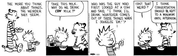 calvinandhobbes