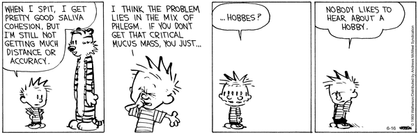 calvinandhobbes