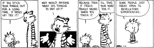 calvinandhobbes