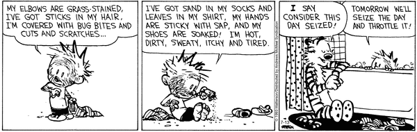 calvinandhobbes