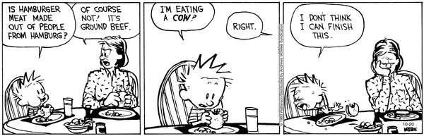 calvinandhobbes