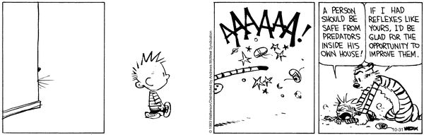 calvinandhobbes