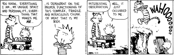 calvinandhobbes