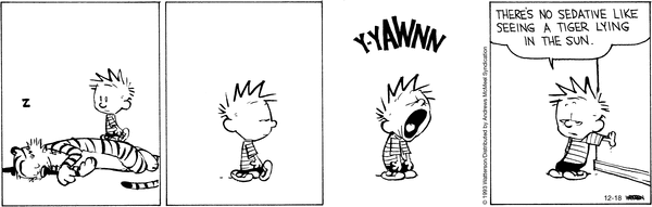 calvinandhobbes