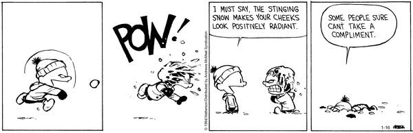 calvinandhobbes