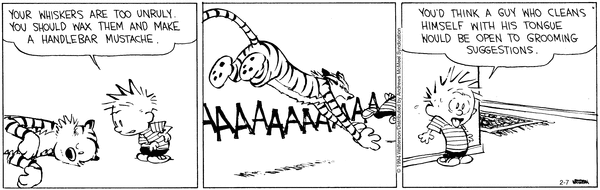 calvinandhobbes