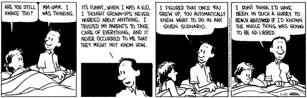 calvinandhobbes