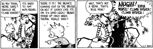 calvinandhobbes