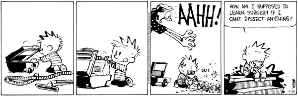 calvinandhobbes