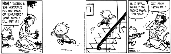 calvinandhobbes