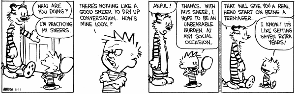 calvinandhobbes