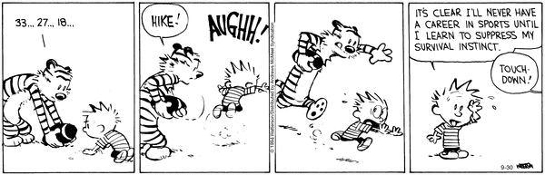 calvinandhobbes