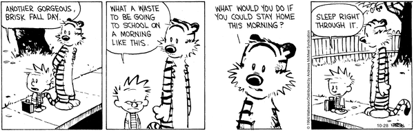 calvinandhobbes