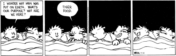 calvinandhobbes