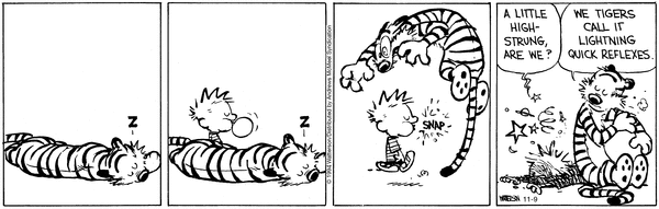 calvinandhobbes