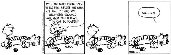 calvinandhobbes