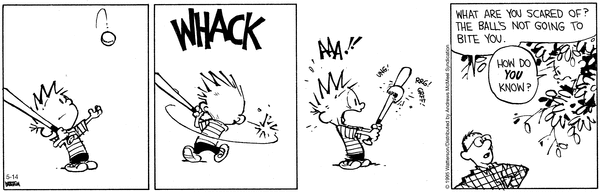 calvinandhobbes