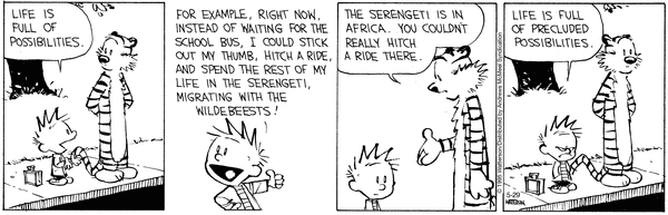 calvinandhobbes