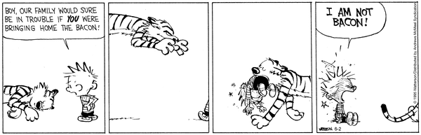 calvinandhobbes