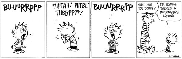 calvinandhobbes