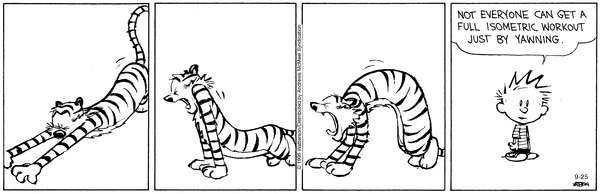 calvinandhobbes