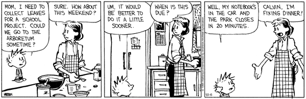 calvinandhobbes