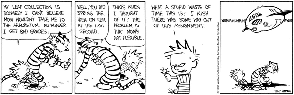 calvinandhobbes