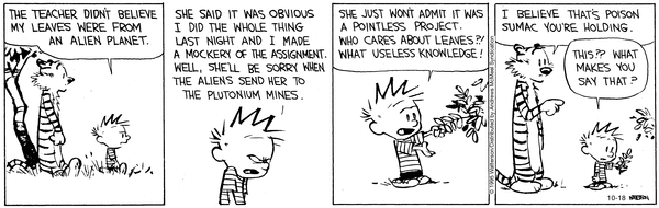 calvinandhobbes
