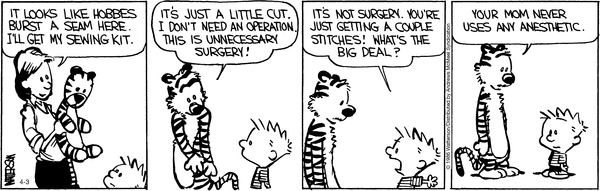 calvinandhobbes
