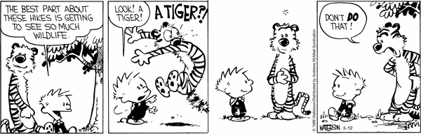 calvinandhobbes
