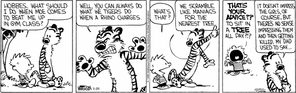 calvinandhobbes