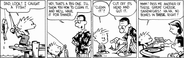 calvinandhobbes