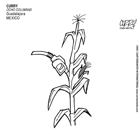 Cwvla080511