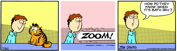 garfield