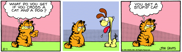 garfield